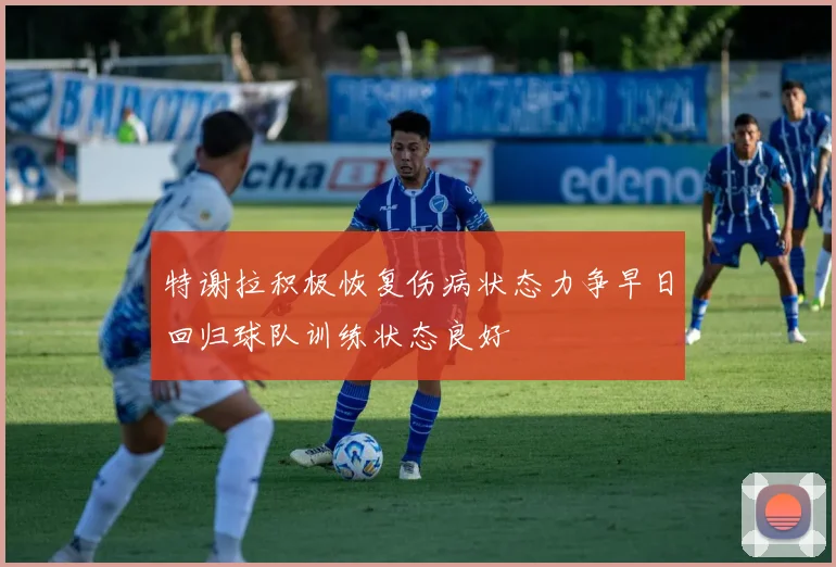 特谢拉积极恢复伤病状态力争早日回归球队训练状态良好