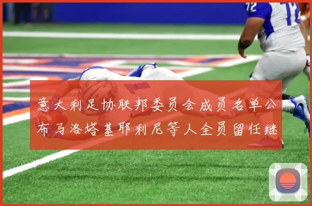 意大利足协联邦委员会成员名单公布马洛塔基耶利尼等人全员留任继续服务