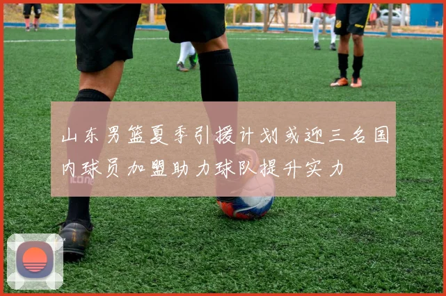 山东男篮夏季引援计划或迎三名国内球员加盟助力球队提升实力
